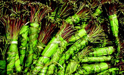 Kenya khat traders eye Chinese market