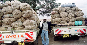 Khat traders eye Chinese market