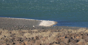 Fish farming potential in L Turkana