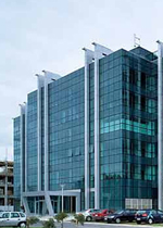 Telenor posts 2008 net profit slump