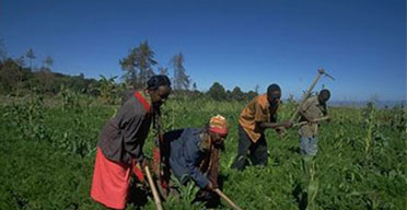 Kenya gets Sh395b from WB