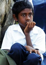 India recovery hopes grow