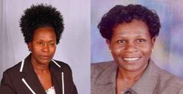 Professionals join NSE board