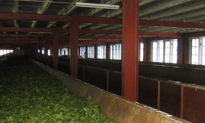 Kenya tea factories go ICT