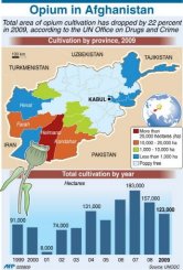 Opium production drops in Afghan