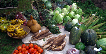 Kenya records lower inflation in October