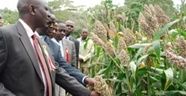 Sh2.3b for Kenyan maize farmers