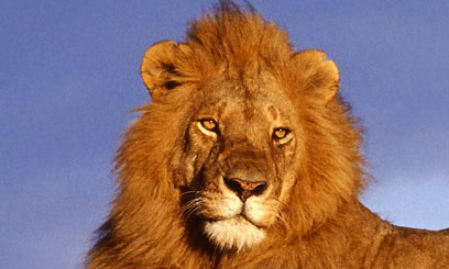 Kenya basks in high tourist numbers