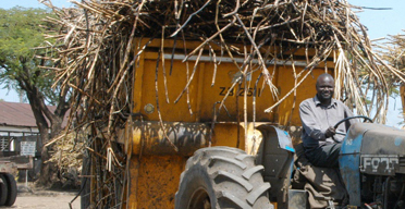 Sweet success for Mumias