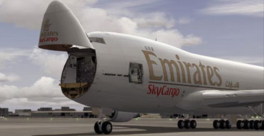African imports get new insurance cover
