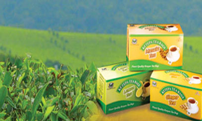 Ketepa hopes for tax break on VAT