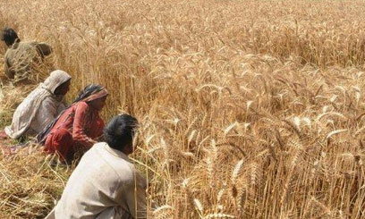Billions lost in harvest waste in sub Saharan Africa