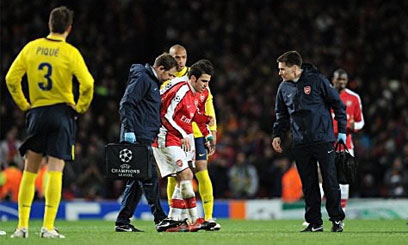 Fabregas in line for World Cup