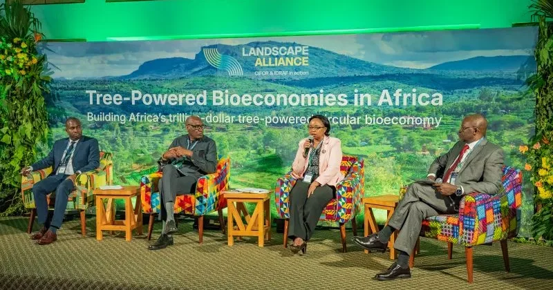 African leaders, experts push for tree-based industries as new frontier for economic growth