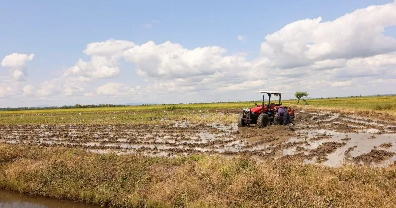 Global Agricultural Leaders Meet in Nairobi to Chart Africa’s Food Future Amid Climate Threats