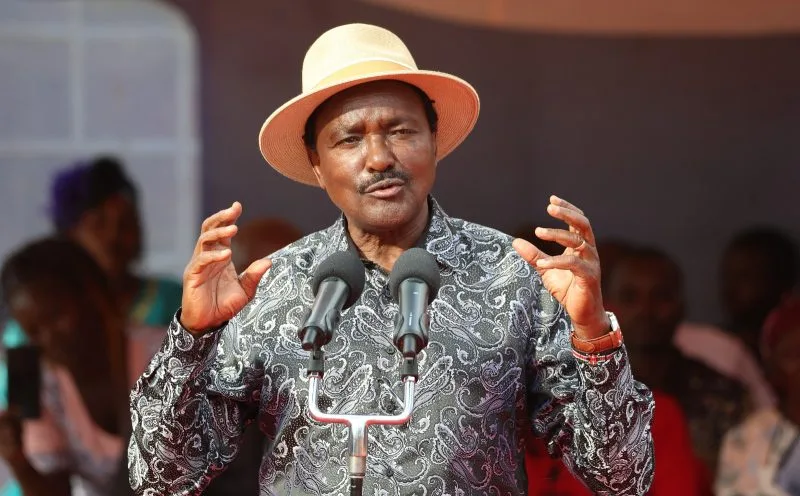 Kalonzo pushes for June 25 public holiday in honor of Gen Z