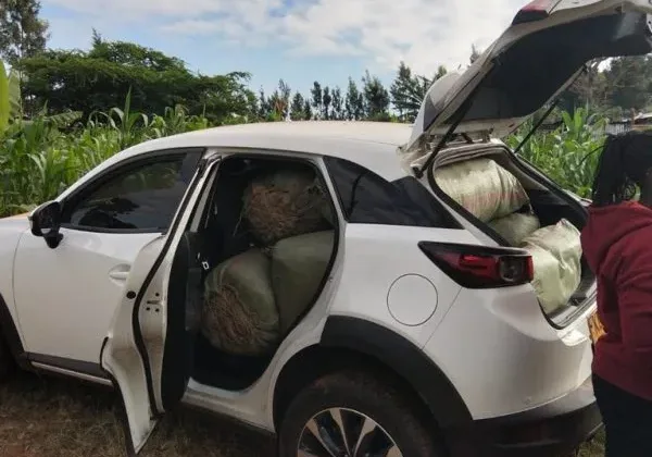 Police Foil Sh4.6 Million Cannabis Smuggling Attempt in Nakuru