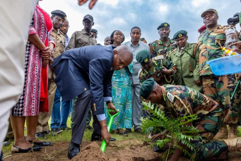 Kindiki says tailored seedlings to power 15 billion tree campaign