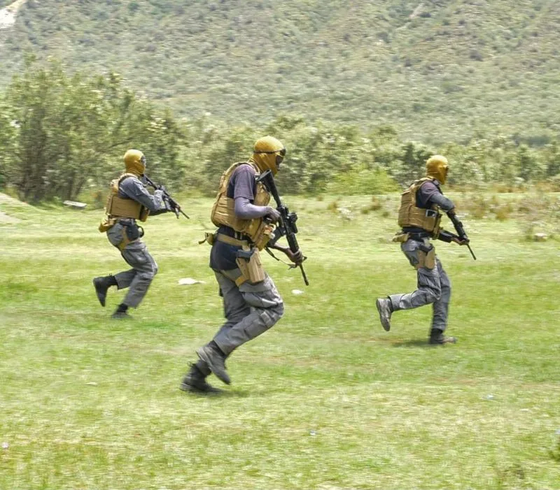 MPs Back Digital Tracking System for Police Firearms to Curb Theft and Misuse