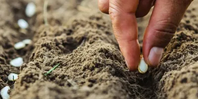 Why More Fertilizer Is No Longer Enough for Kenyan Farmers