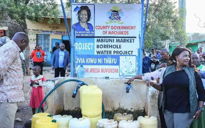 Governors, MCAs face arrests over branded taxpayer-funded projects