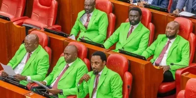 6 Senators don DCP’s signature green as party rides Ol Kalou momentum