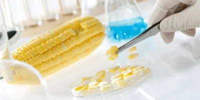 NBA tightens GMO import rules, requires mandatory clearance