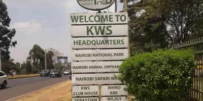Petitioners accuse KWS of blocking court-ordered Nairobi National Park inspection