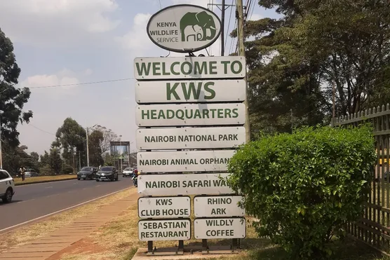 Petitioners accuse KWS of blocking court-ordered Nairobi National Park inspection