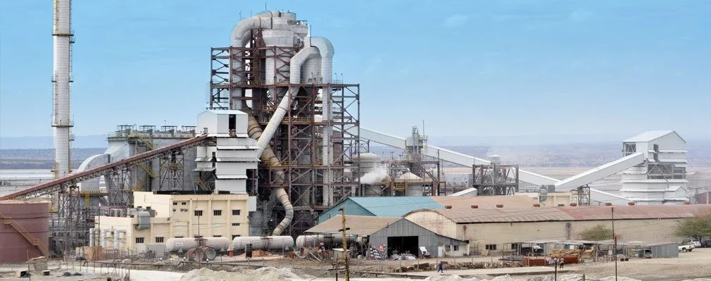 Govt suspends Tata Chemicals Magadi mining operations over compliance breaches