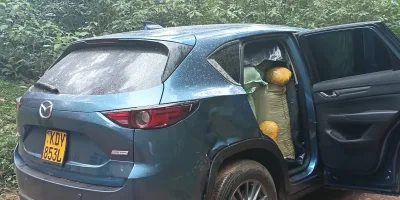 Sh13.4m cannabis haul tops fresh anti-drug crackdown across 3 counties