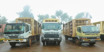 KTDA sets fertilizer transport charges for tea factories