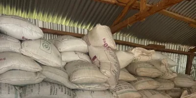 DCI arrests three suspects, seizes 3,500 bags of suspected counterfeit fertilizer in Uasin Gishu crackdown