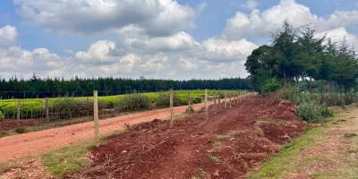 Communities Welcome Fencing of Fully Restored Kaptagat Forest, Cite Long-Term Benefits