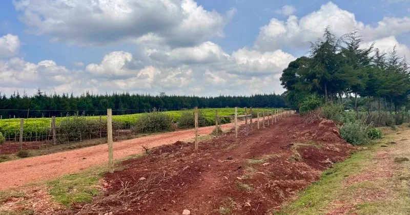 Communities Welcome Fencing of Fully Restored Kaptagat Forest, Cite Long-Term Benefits