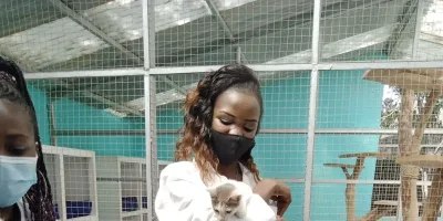 Why Preventive Pet Care Is Becoming a Bigger Focus for Kenyan Households