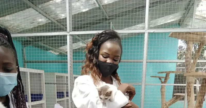 Why Preventive Pet Care Is Becoming a Bigger Focus for Kenyan Households
