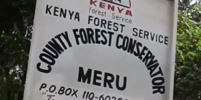 High Court to rule on bid to halt Upper Imenti Forest developments on July 30