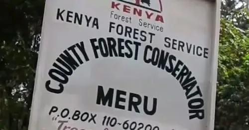 High Court to rule on bid to halt Upper Imenti Forest developments on July 30