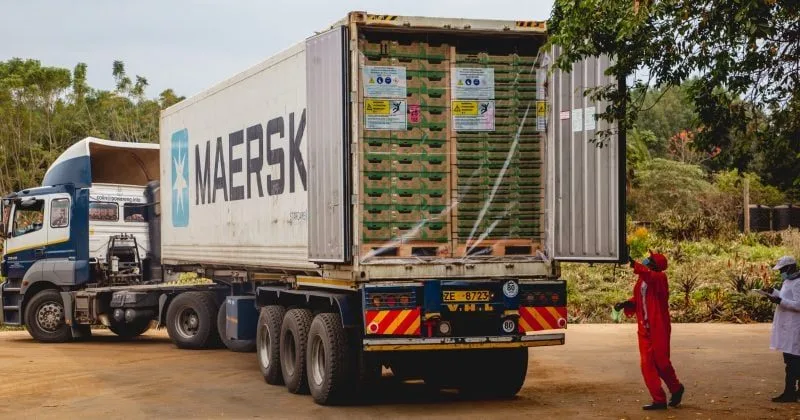 Kenya eyes China’s zero-tariff market to cut Sh1.14tn trade gap