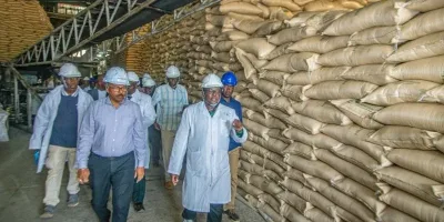 Nzoia Sugar Pays Farmers Sh700mn as Turnaround Gains Momentum
