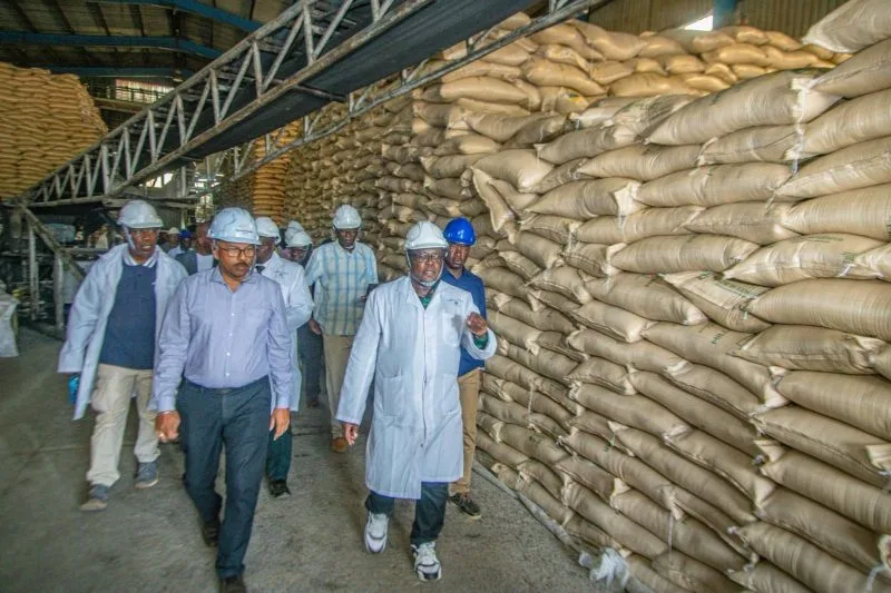 Nzoia Sugar Pays Farmers Sh700mn as Turnaround Gains Momentum