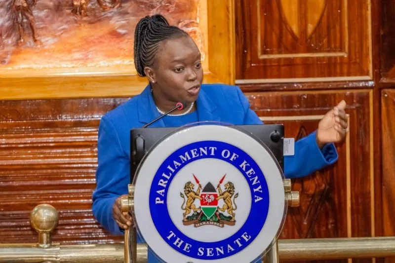 Senators Put Environment CS Barasa on the Spot Over Pollution Control Failures