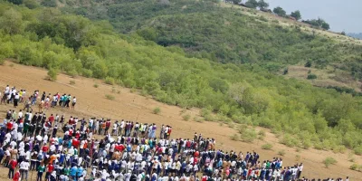 Kenya sets global mangrove planting record