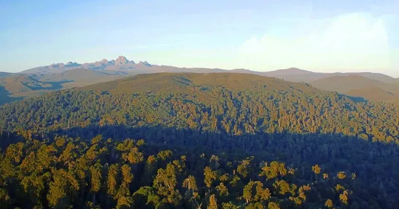 Public hearing on proposed Meru Forest airstrip to be held tomorrow