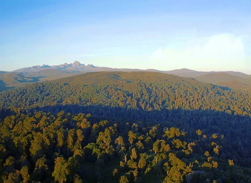Public hearing on proposed Meru Forest airstrip to be held tomorrow