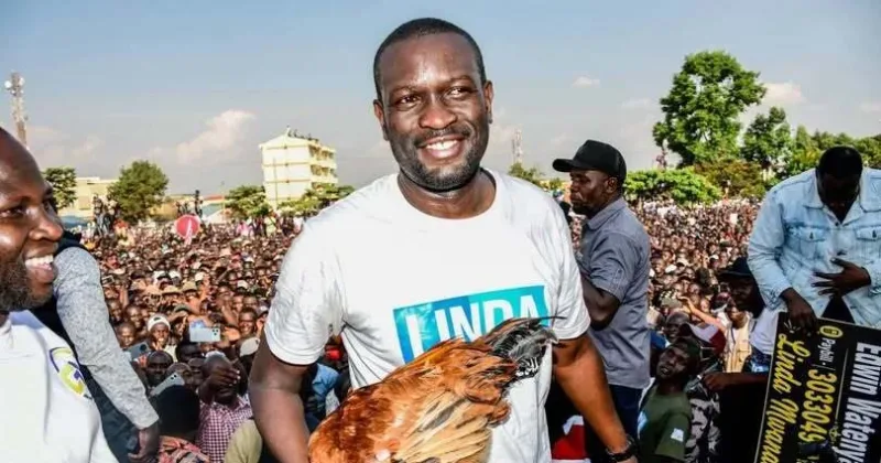 Pauline Njoroge Defends Sifuna’s ‘Chicken’ Remarks, Says Critics Missed the Point