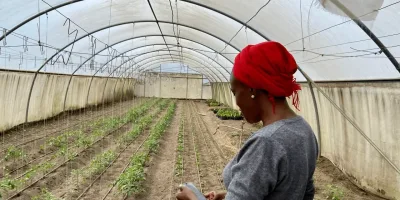From crop disease to customer data: Kenyan businesses put AI to work