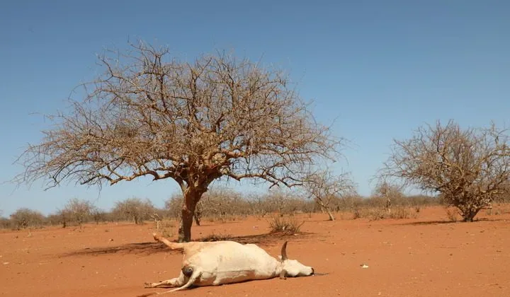1984 drought forced Kenya to diversify economy, says ex-CBK Governor