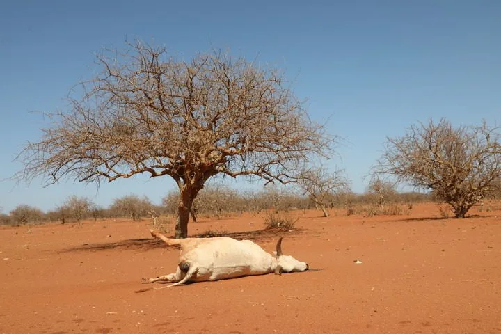 1984 drought forced Kenya to diversify economy, says ex-CBK Governor